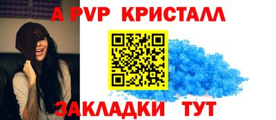 шишки Будённовск