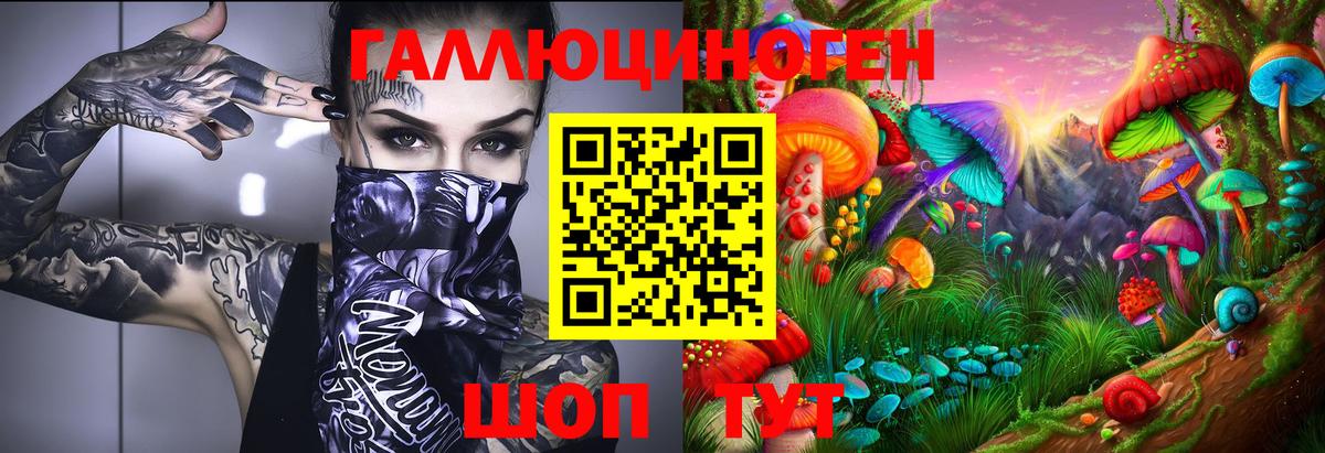 Ставрополь  купить   Вход с VPN  Псилоцибиновые грибы Psilocybe 
